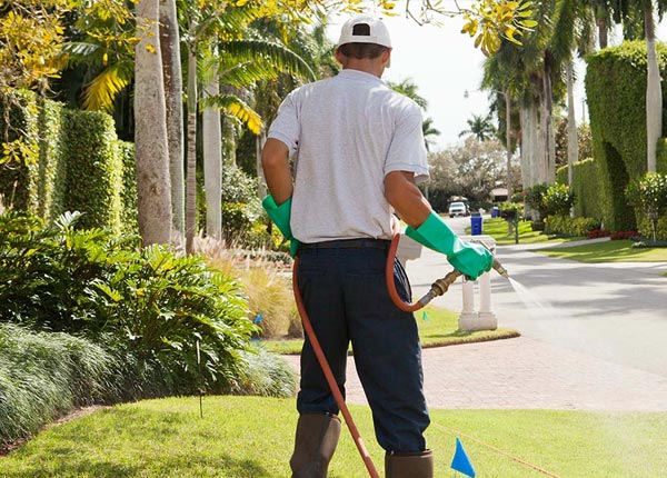 About Amboy MN Pest Control